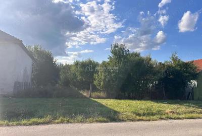 Teren de 1060 mp, în Darova - 8