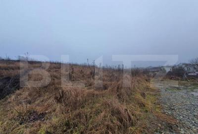 Teren intravilan, 30 de ari, Sigmir - cu Autorizatie de cons - 2