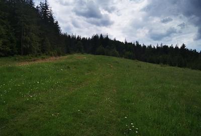 Teren intravilan de 1000 mp, în Văleni-Stânișoara - 4