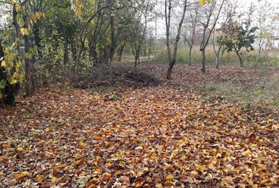 Spațiu comercial, în Cămineasca - 6