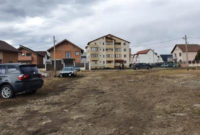 Teren agricol intravilan de 1273 mp, în Terezian - 9