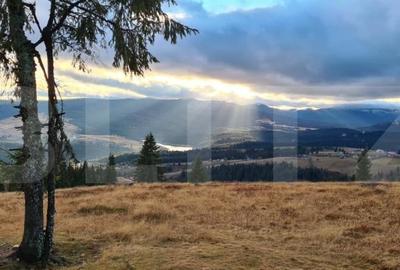 Cabana cocheta din lemn in Belis – 3 camere, ideala pentru vacanta sau investiti - 9