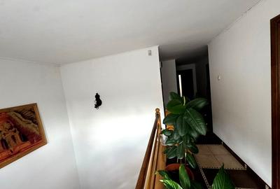 Casa confortabila si spatioasa de vanzare in Frasin - ideala pentru familii - 29