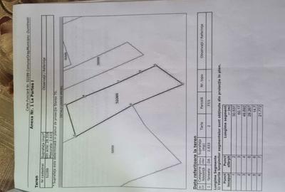Teren de 25000 mp, în Dumitrești - 3