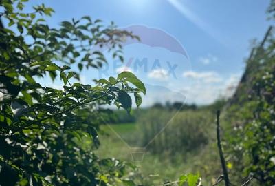 Teren Construcții intravilan de 3765 mp, în Bodeștii de Jos - 1