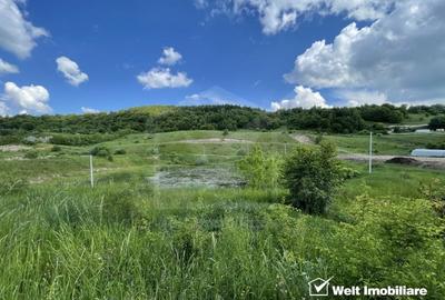 Teren superb in Salicea, 1170 mp, PUZ, drum, apa si curent, zona “La Mesteceni” - 2
