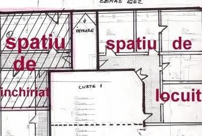 Casă cu 8 camere cu Teren 1250 Mp în Cenad - 1