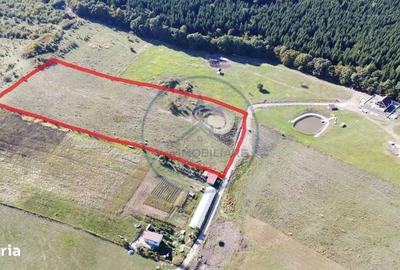 Spațiu comercial, în Sigmir - 4