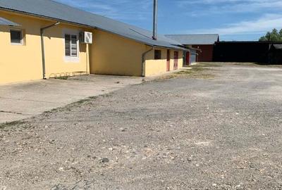 Spațiu comercial, de 3,150 mp, în Sebiș - 1