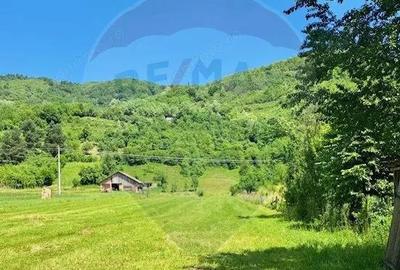 Casa / Vila cu 5 camere de vanzare - 7