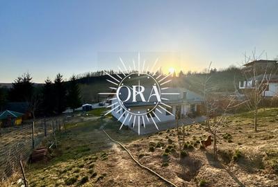 Casă individuală cu 5 camere cu Teren 2418 Mp în Exterior Sud - 3