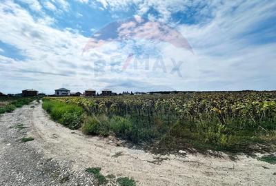 Teren Construcții intravilan de 14863 mp, în Ciorogârla - 6