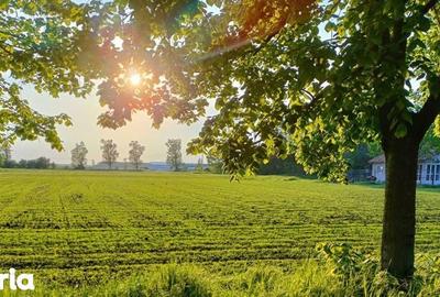 Teren de 500 mp, în Belciugatele