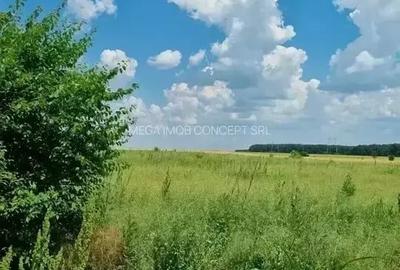 Terenuri pentru Cartier Rezidențial | 429 mp / Lot | Zonă Dezvoltare - 7