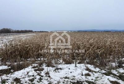 Teren de 4400 mp, în Central