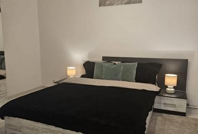 Apartament cu 2 camere decomandat, mobilat în Magheru - 14