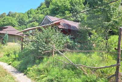 Casă cu 6 camere cu Teren 2700 Mp în Bradu - 2