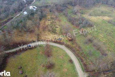 Teren de 3357 mp, în Valea Iașului - 6