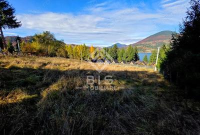 Teren de vanzare 12 ari - COLIBITA - 6