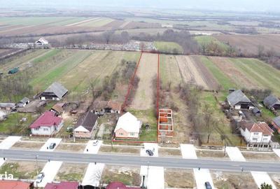 Casă cu 3 camere decomandat cu Teren 4748 Mp în Pomi - 18