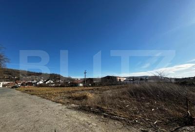 Teren intravilan, 1000 mp,  Blaj