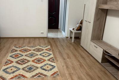 Berceni-Turnu Magurele-Garsoniera de inchiriat - 2