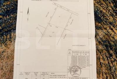 Teren de 4990 mp, în Valea Doftanei - 3