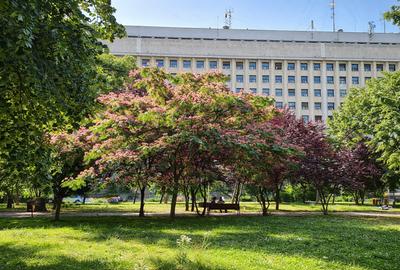 2 CAM> locatie centrala> 3 min Gara de Nord > bloc reabilitat> Mutare imediata - 9