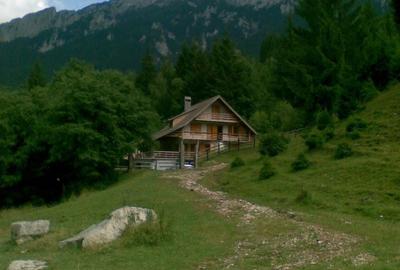 Casă cu 6 camere cu Teren 3884 Mp în Plaiul Foii - 2