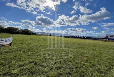 Teren de 6000 mp, în Cristian - 8