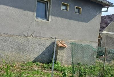 Casă cu 3 camere cu Teren 1000 Mp în Rusu de Sus - 5