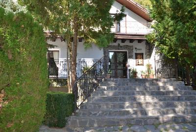 Pensiune cu restaurant si teren generos  langa Sighisoara - 11