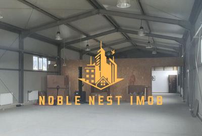 Inchiriere hala industriala 400 mp Caline?ti, Arge? - 2