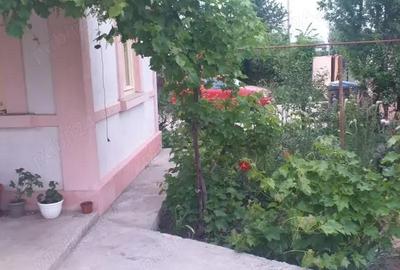Casă cu 4 camere cu Teren 360 Mp în Tunari - 8
