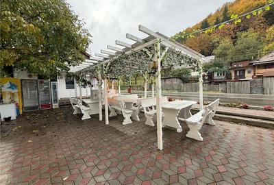 EXCLUSIVITATE! Spatiu comercial P+1+M pretabil pensiune zona Siriu - 20
