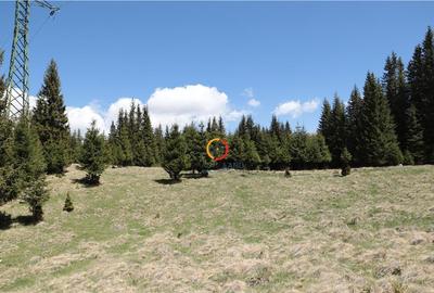 Terenuri speciale Padina Busteni, sunt dispuse ca o veritabi - 6