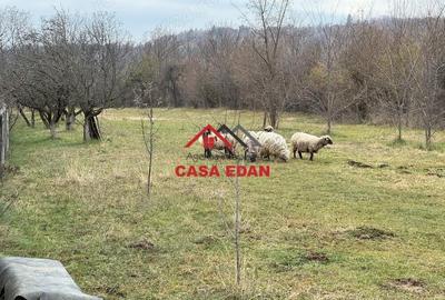 Casă cu Teren 2080 Mp în Brebu - 2