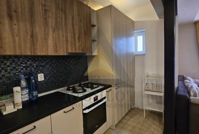 Apartament cu 3 camere semidecomandat, mobilat în Ștefăneștii de Jos - 9