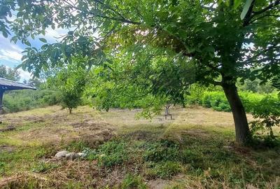 Teren Construcții intravilan de 3551 mp, în Poiana Copăceni - 26