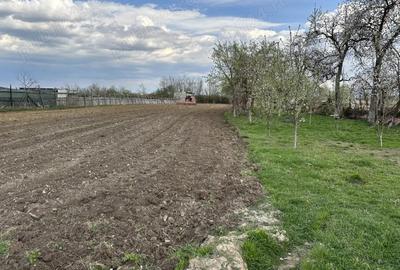 Casă cu 3 camere în Cociuba Mare - 2