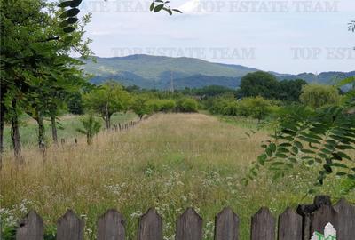 Teren intravilan de / Maneciu Pamanteni - 3