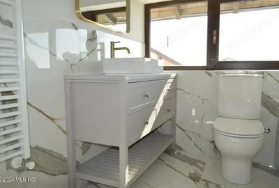 Calinesti - Gorganu, casa cu 2 intrari, teren 2496 mp - 20