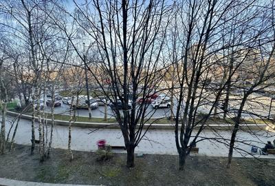 Apartament cu 3 camere decomandat, mobilat în Baba Novac - 8