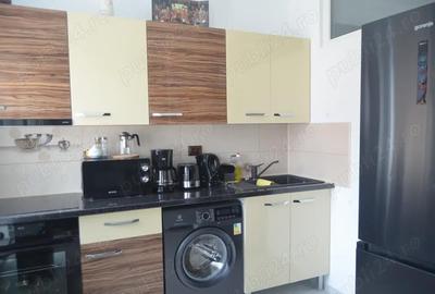 Apartament cu 2 camere semidecomandat în Valea Alba