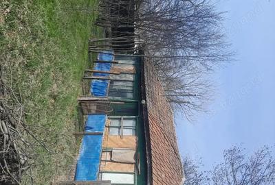 Teren de 5000 mp, în Albeni - 1