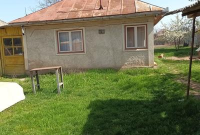 Casă cu 2 camere în Dumbrava - 6