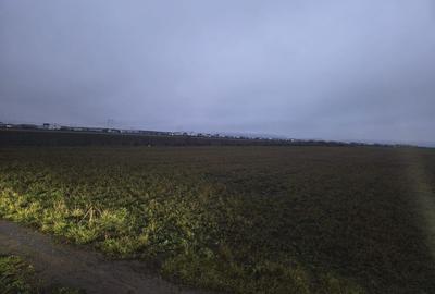 Teren cartier Izvor langa Brasov - 9