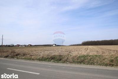 Teren de 9740 mp, în Bosanci - 2