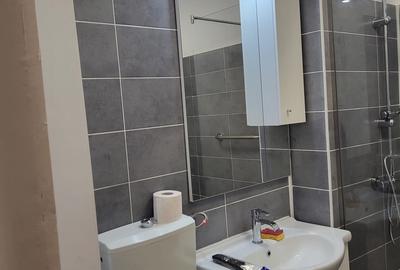 Pajura, oferta inchiriere garsoniera in vila - 17