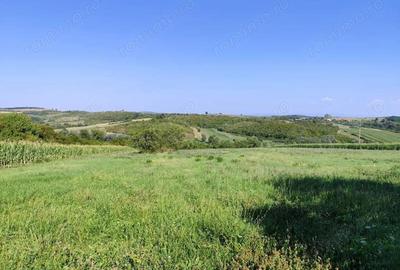 Casă cu 5 camere cu Teren 4700 Mp în Calea Mare - 9